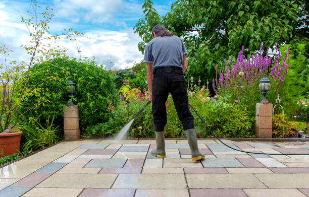 Trusted Vance, AL  Pressure Washing Services Experts